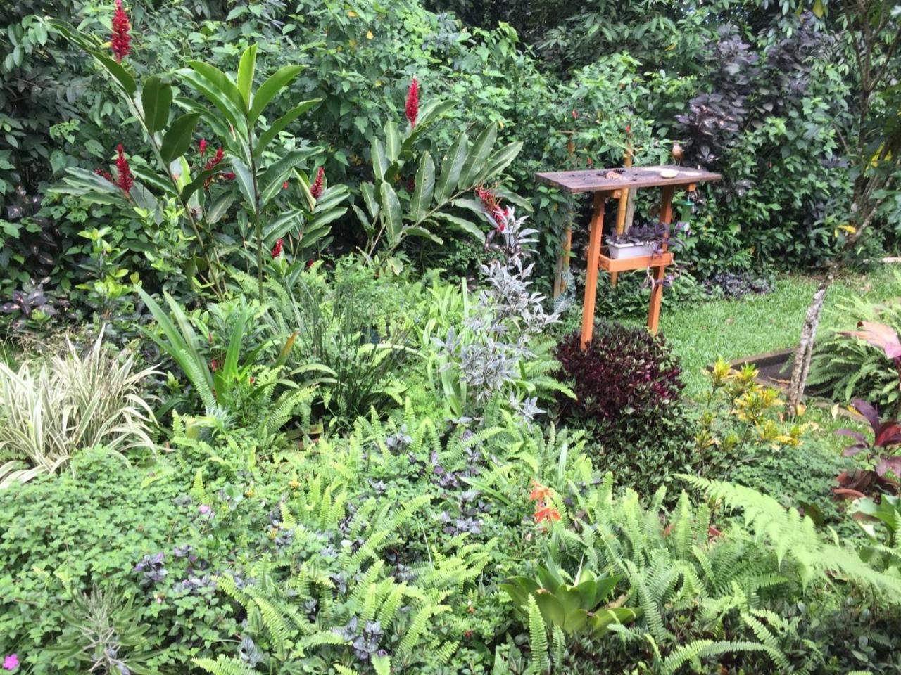 Casa Arariba - Ilha Grande - Abraão Esterno foto