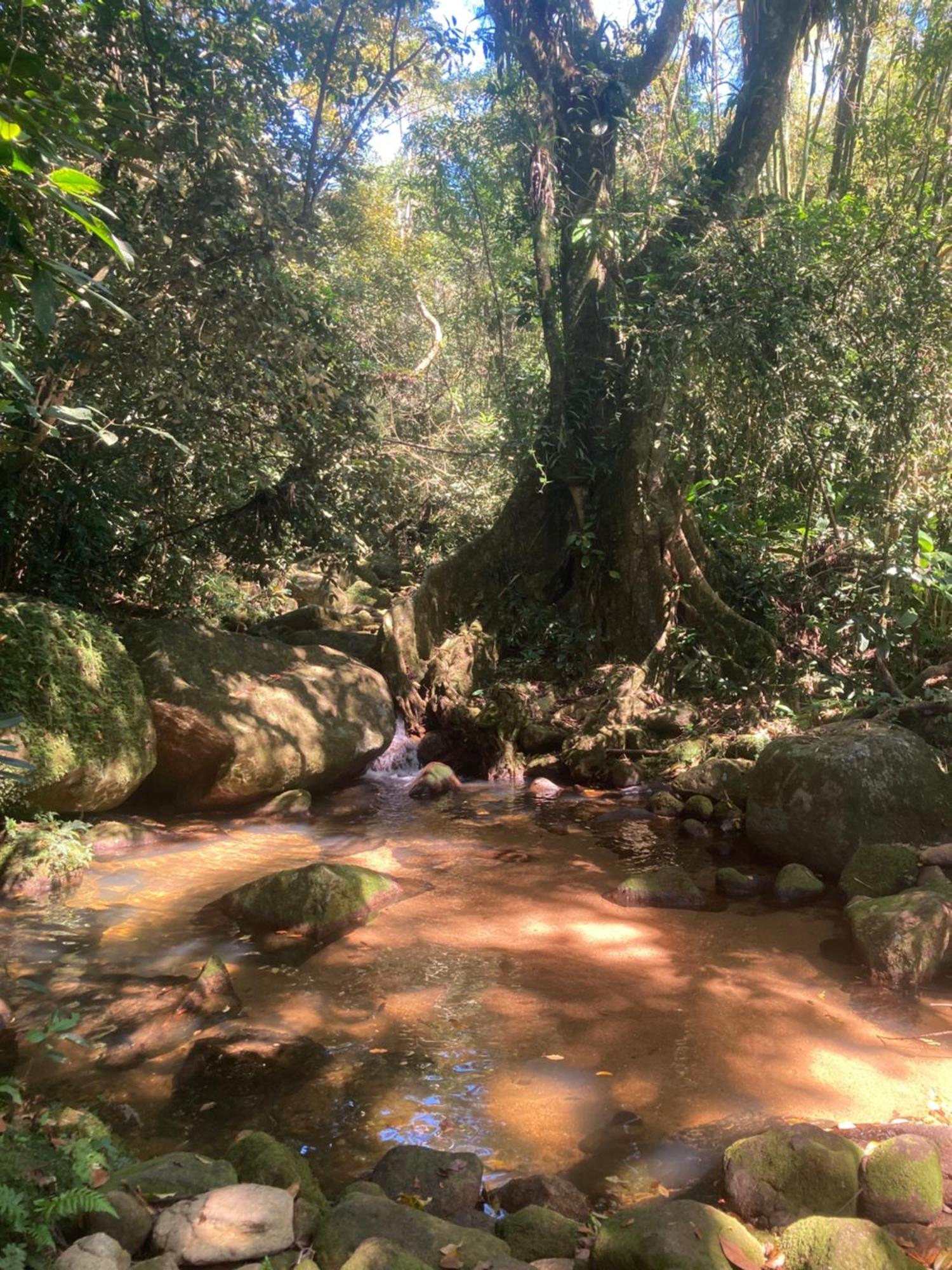 Casa Arariba - Ilha Grande - Abraão Esterno foto